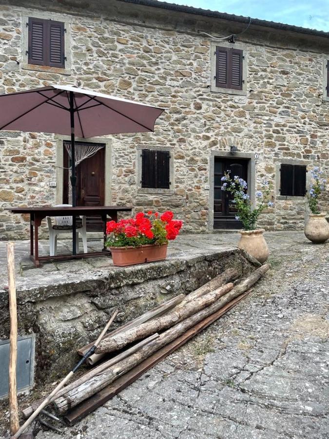 Villa THE DORMOUSE - Il Ghiro Rensa Esterno foto